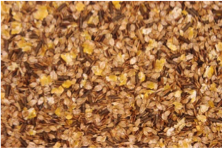 Sécuriser la production à travers l’alimentation et le support technique