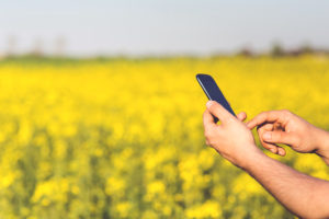 digital agriculture afrique