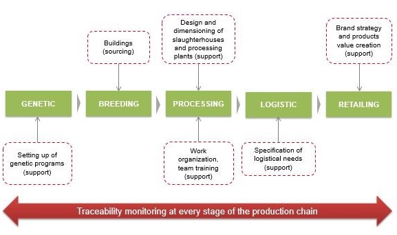 L'expertise d'Apexagri dans l'optimisation de filière volaille