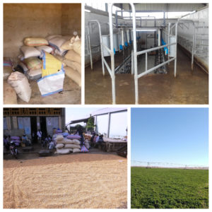 The need for equipments, storage, irrigation systems...