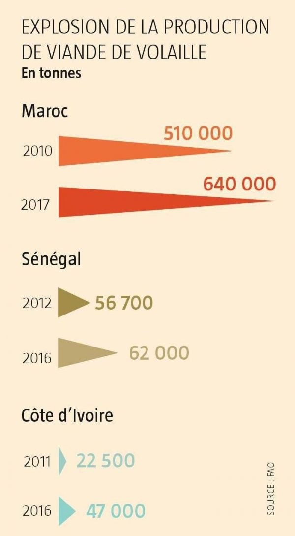 Evolutions de la production de poulets entre 2010 et 2017 pour 3 pays africains