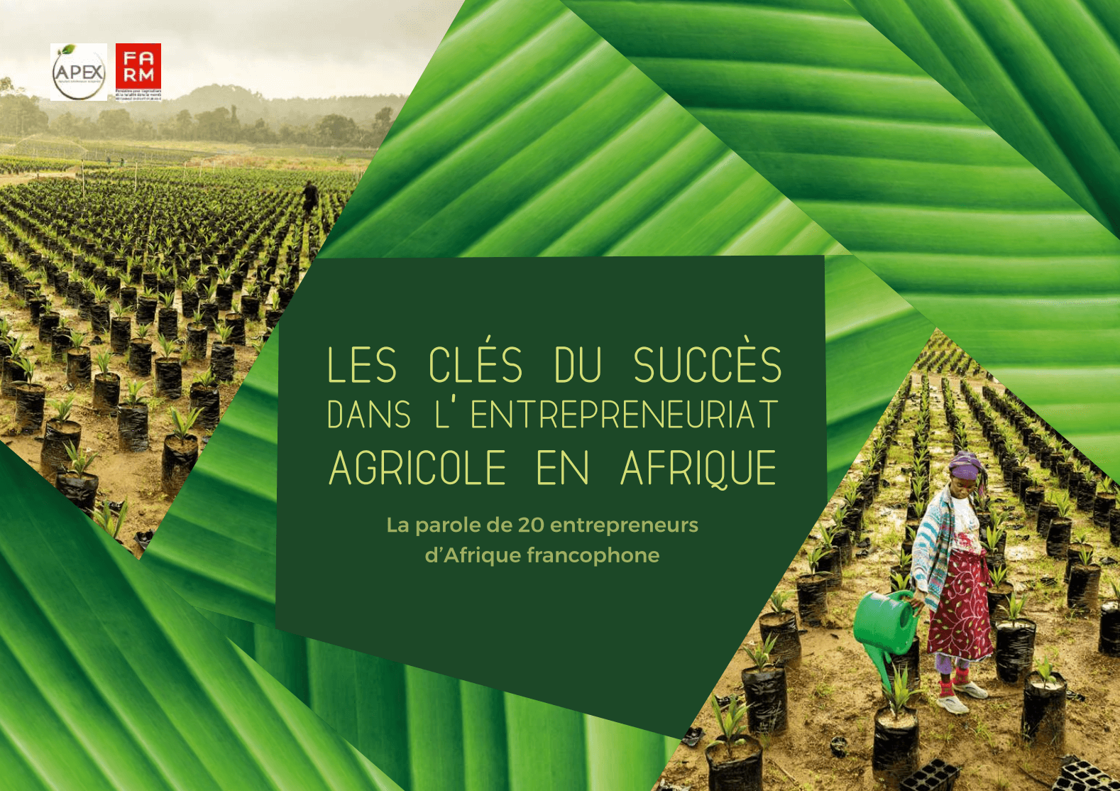 Notre dernière étude : Les clés du succès dans l’entreprenariat agricole en Afrique