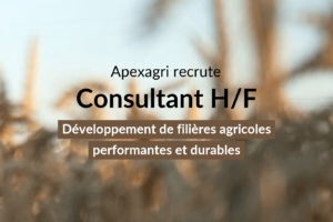 Recrutement Consultant Offre emploi