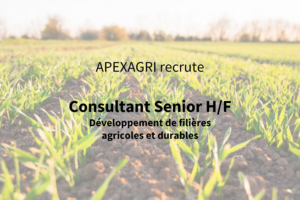 Recrutement Consultant Senior
