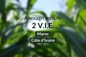 Recrutement offre V.I.E Maroc Côte d'Ivoire