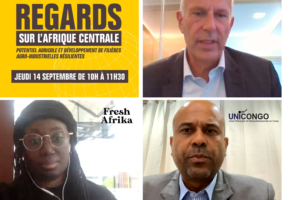 filières agricoles Afrique centrale Bpifrance