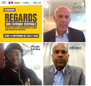 filières agricoles Afrique centrale Bpifrance