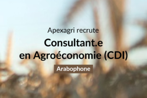offre consultant agro cdi arabophone