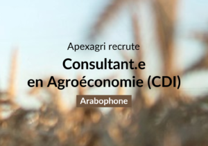 offre consultant agro cdi arabophone