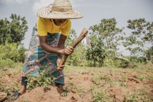 communs en afrique agriculture