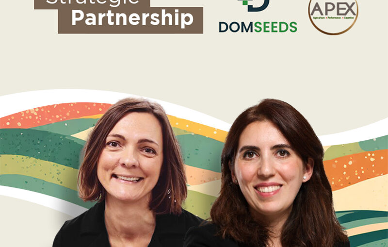Partenariat Domseeds (Domaines Agricoles, Maroc) et Apexagri (conseil agriculture, France)
