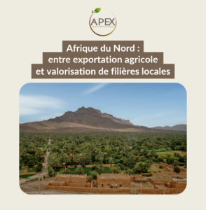 afrique du nord filières agricoles