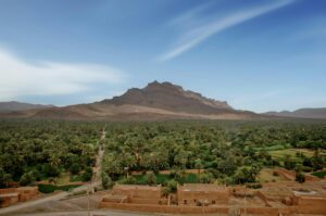 afrique du nord filières agricoles