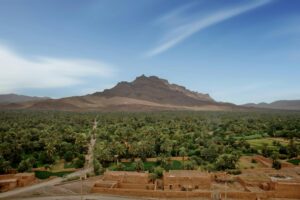 afrique du nord filières agricoles