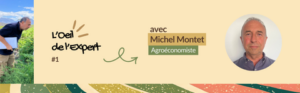 expert michel montet