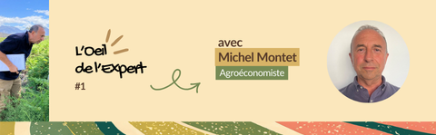 expert michel montet