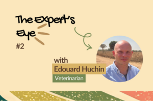 Edouard Huchiin veterinarian