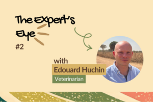 Edouard Huchiin veterinarian