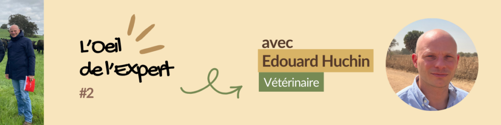 Bandeau Interview Edouard Huchin