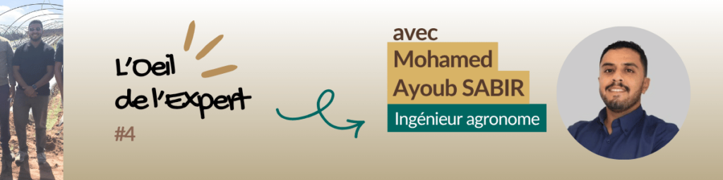 L'Oeil de l'Expert 4 - Bandeau Ayoub