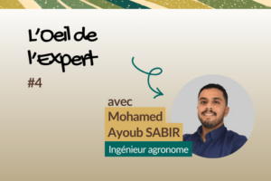 L’Oeil de l’Expert 4 - Vignette Ayoub