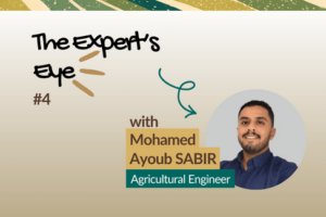 L’Oeil de l’Expert 4 - Vignette Ayoub anglais