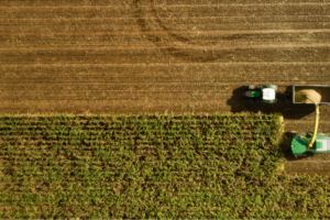 Mutations géopolitiques agriculture